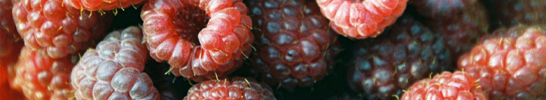 Himbeeren