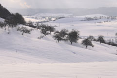 Winterlandschaft