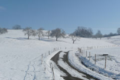 Winterlandschaft